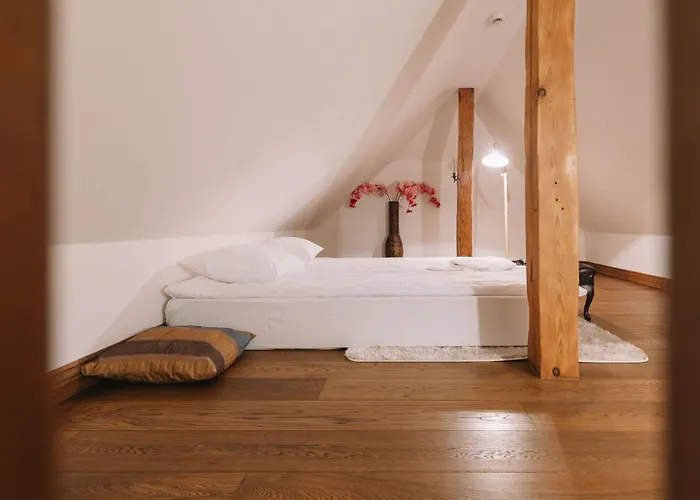 Dictumfactum Sky 塔林